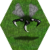 Black Slicer Grass.png