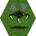 Black Slicer Grass.png