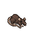 giant-rat.png