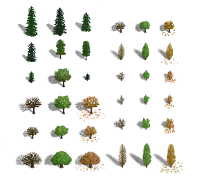 all trees.png