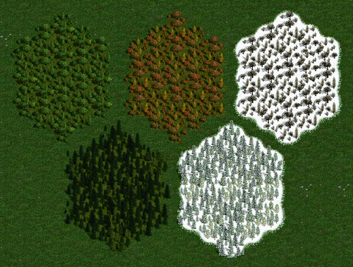 various_woods.PNG