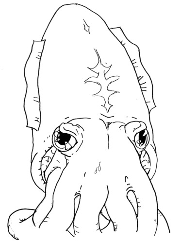 cuttlefish.png