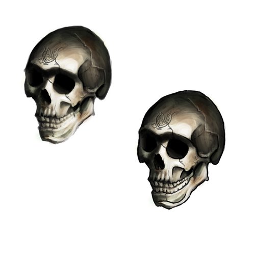 skull.jpg