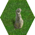 monolith_grass.png