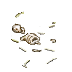 bones.png