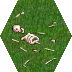 bones_on_grass.png