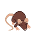 giant_rat_standing.png