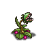 plant.png