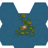 water-lilies_test2.png