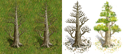 dead-great-tree2-versions.png