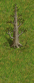 dead-great-tree2-decayed-grass.png