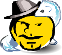 Iceweasel-icon-large.png