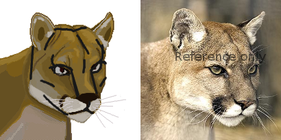 puma-2.png