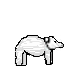 polar-bear.png