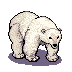 polar-bear.png