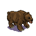 grizzly-bear.png