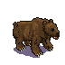 grizzly-bear-standing-02.png