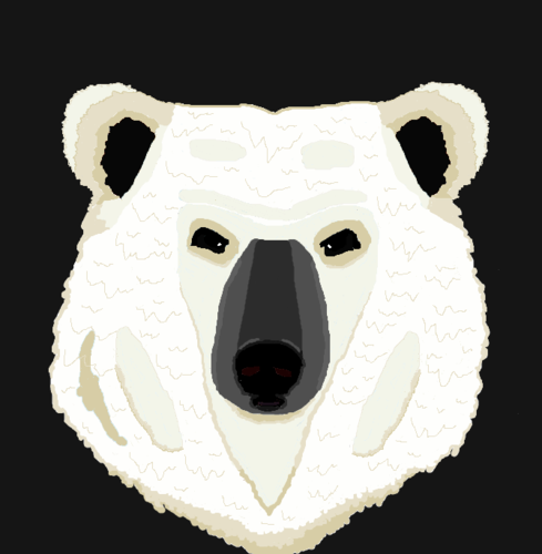 polarbear-new.png