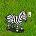 zebra.png