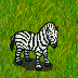 zebra.png