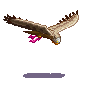 great-falcon.png