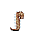 bristle worm