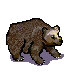 brownbear3.png