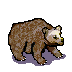 brownbear5.png