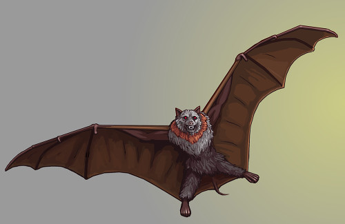 bat3.jpg