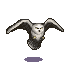 owl.png