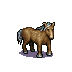 horse.png