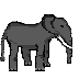 Elefant.png