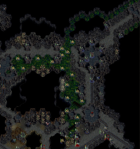 All swamp.jpg