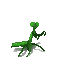 Mantis.