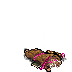 mage+female-die-4.png