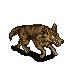 wolf_1-moving.png