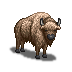 bison.png