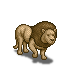 lion.png