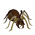 cave-spider.png