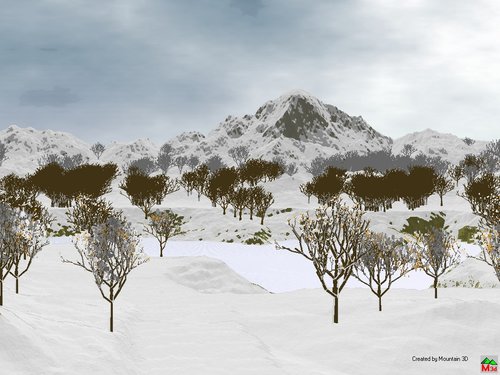 Winter