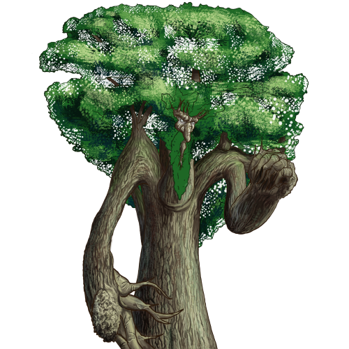 wose.png