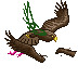 elder-falcon.png