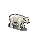 polar_bear.png