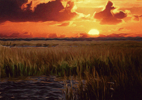 sunsetintheswamp3.png