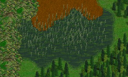 mhexreeds.jpg
