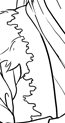 Picture 15.png