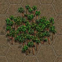palms-dirt.png