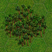palms-grass.png