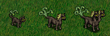 cats_4.png