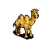 camel3.png